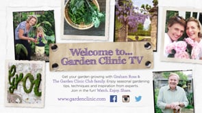 GCTV How to Coral Reef
