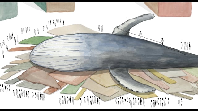 Thumbnail for The Whale in the Room