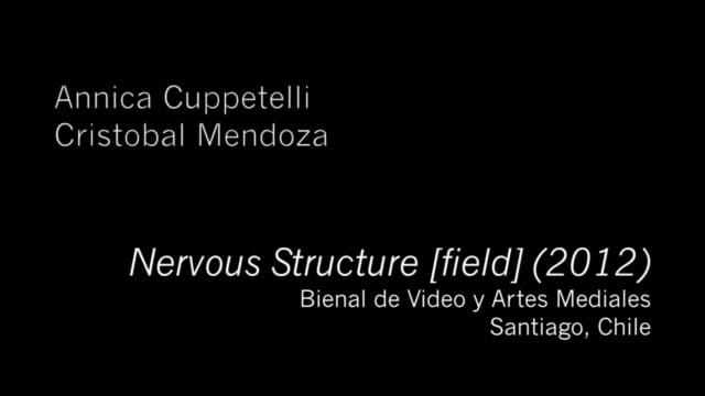 Cuppetelli and Mendoza, "Nervous Structure [Field]"