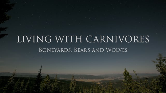 Living with Carnivores: Boneyards, Bears and Wolves
