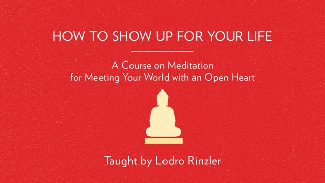 How to Show Up for Your Life