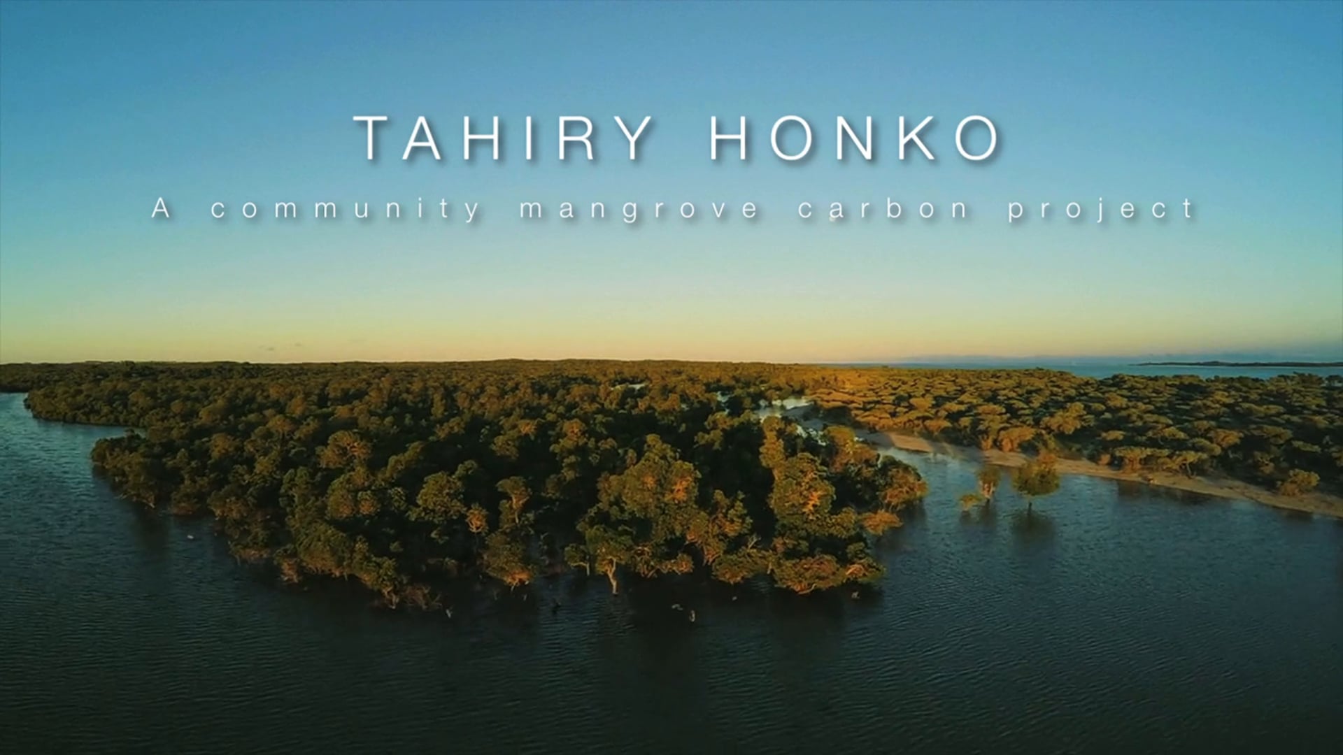 Tahiry Honko - a community mangrove carbon project