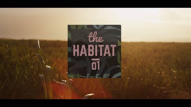 THE HABITAT EP01 from TAKE SHELTER PRODUCTIONS