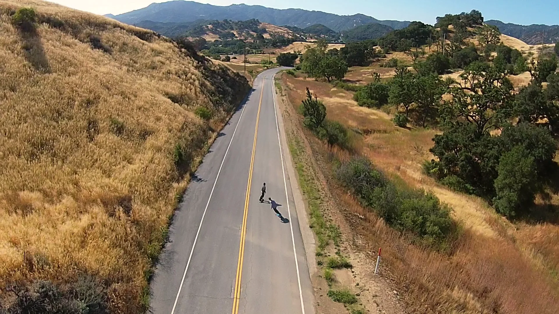 Penny skateboards Long boards 36インチ/ペニースケートボード ロング