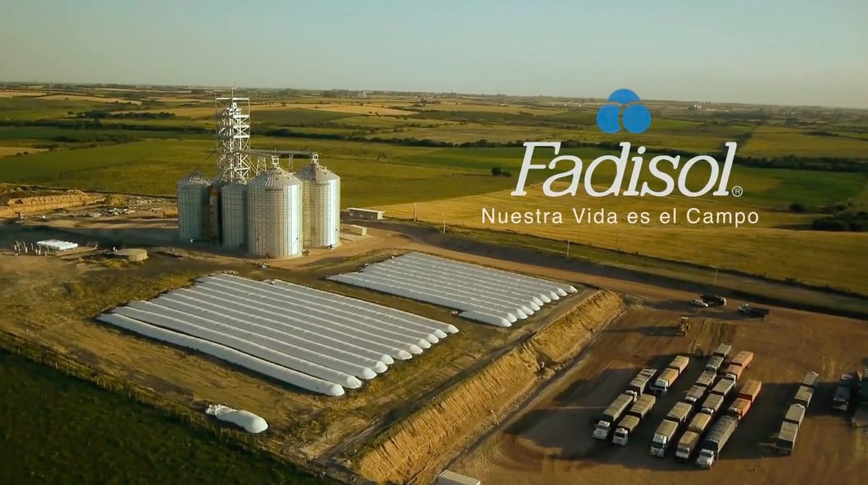 FADISOL on Vimeo on Vimeo