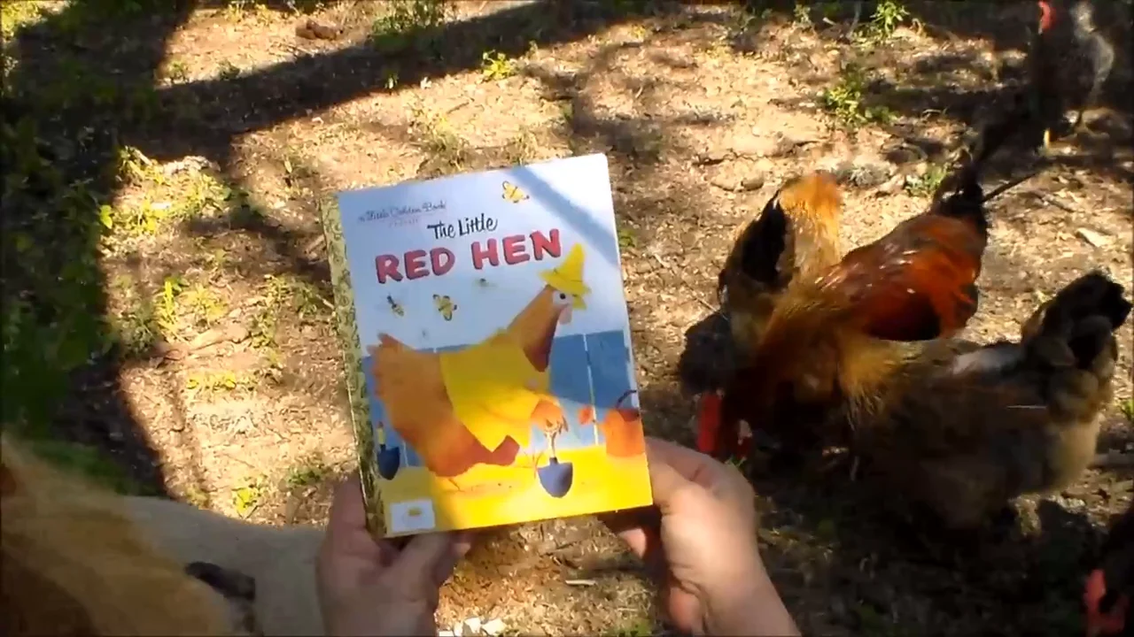 Pop Out Timers – Little Red Hen
