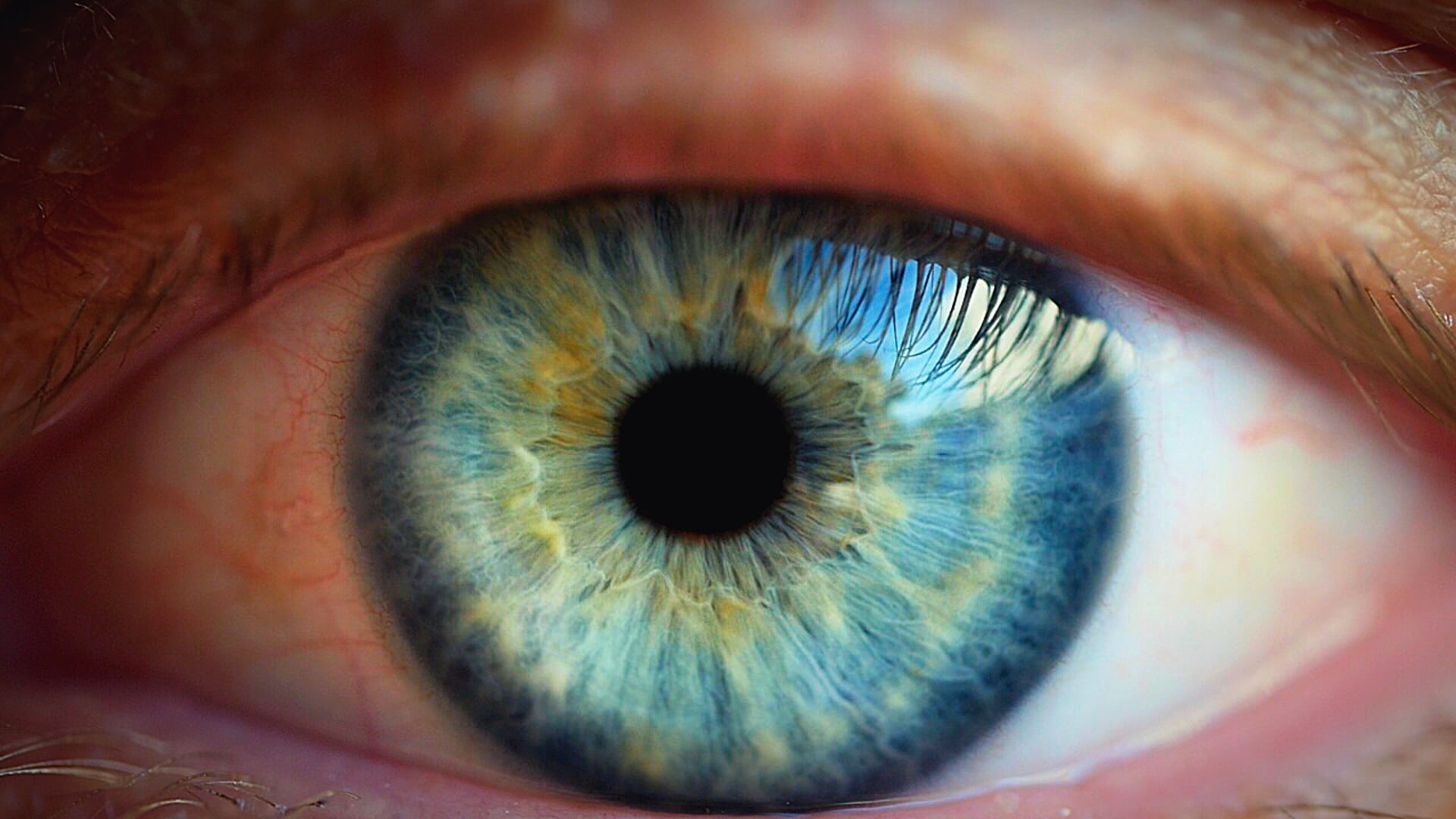 THE VIMEO EXPERIENCE