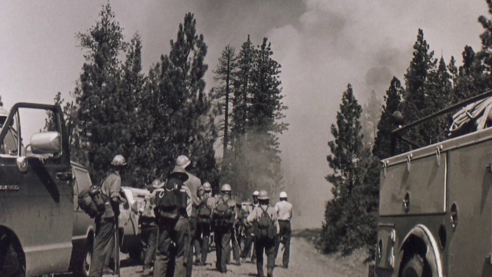 Women in fire, camaraderie, and change