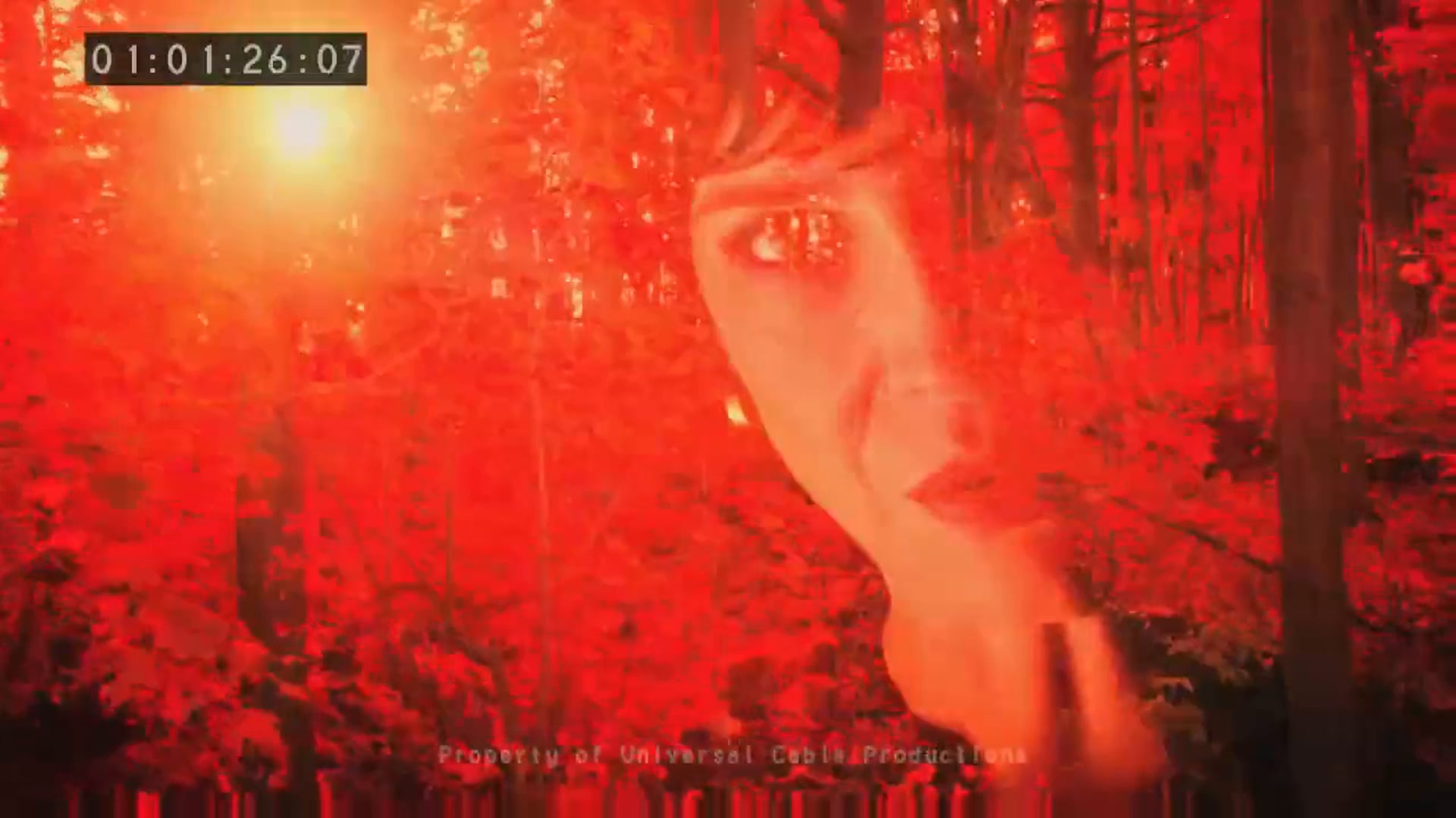 12 monkeys red forest reference