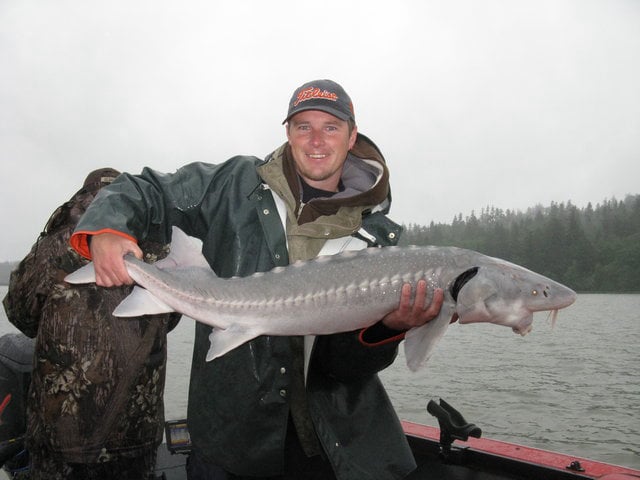 Columbia River Sturgeon Fishing On Vimeo