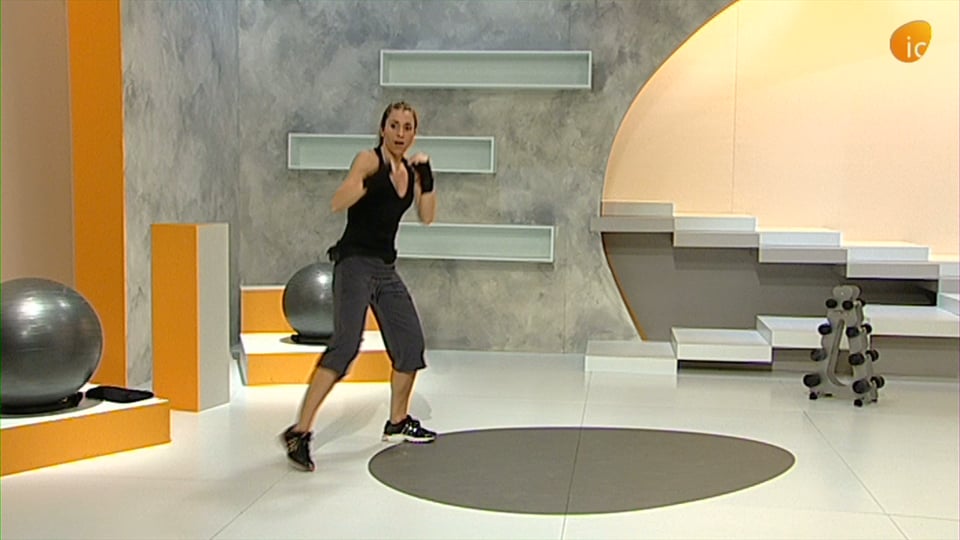 CARDIO PUÑOS Y PATADAS 