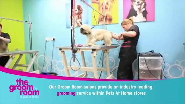 Pets at home groom room sales contact number