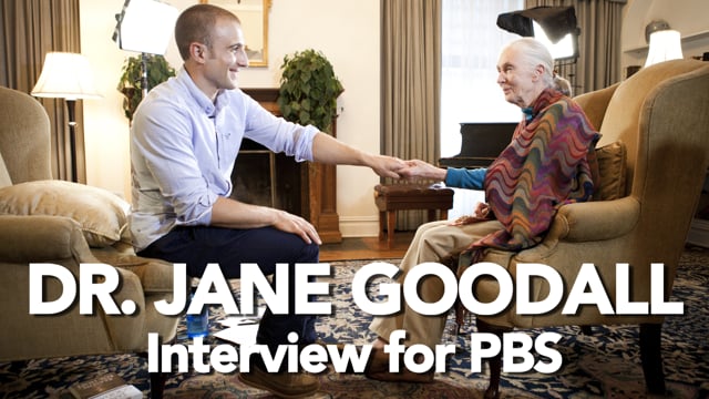 Dr. Jane Goodall Interview for PBS