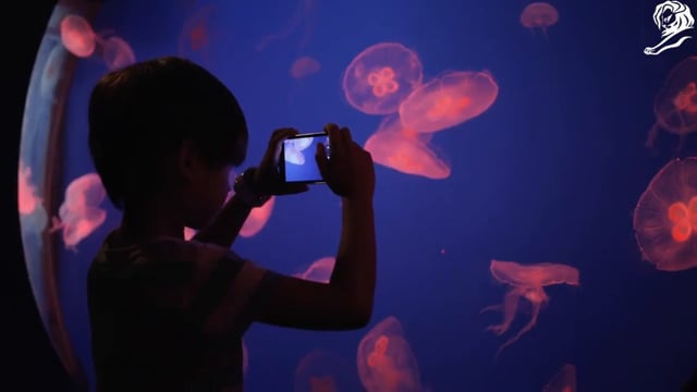 余った通話分が、障害者500人分の1年間になった / StarHub「4G4GOOD」
