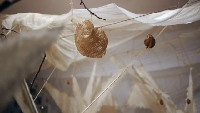 an Experimental Space for Reconnection with the Natural World by Lazae LaSpina :: Supported by FRFAF (#2013-40)