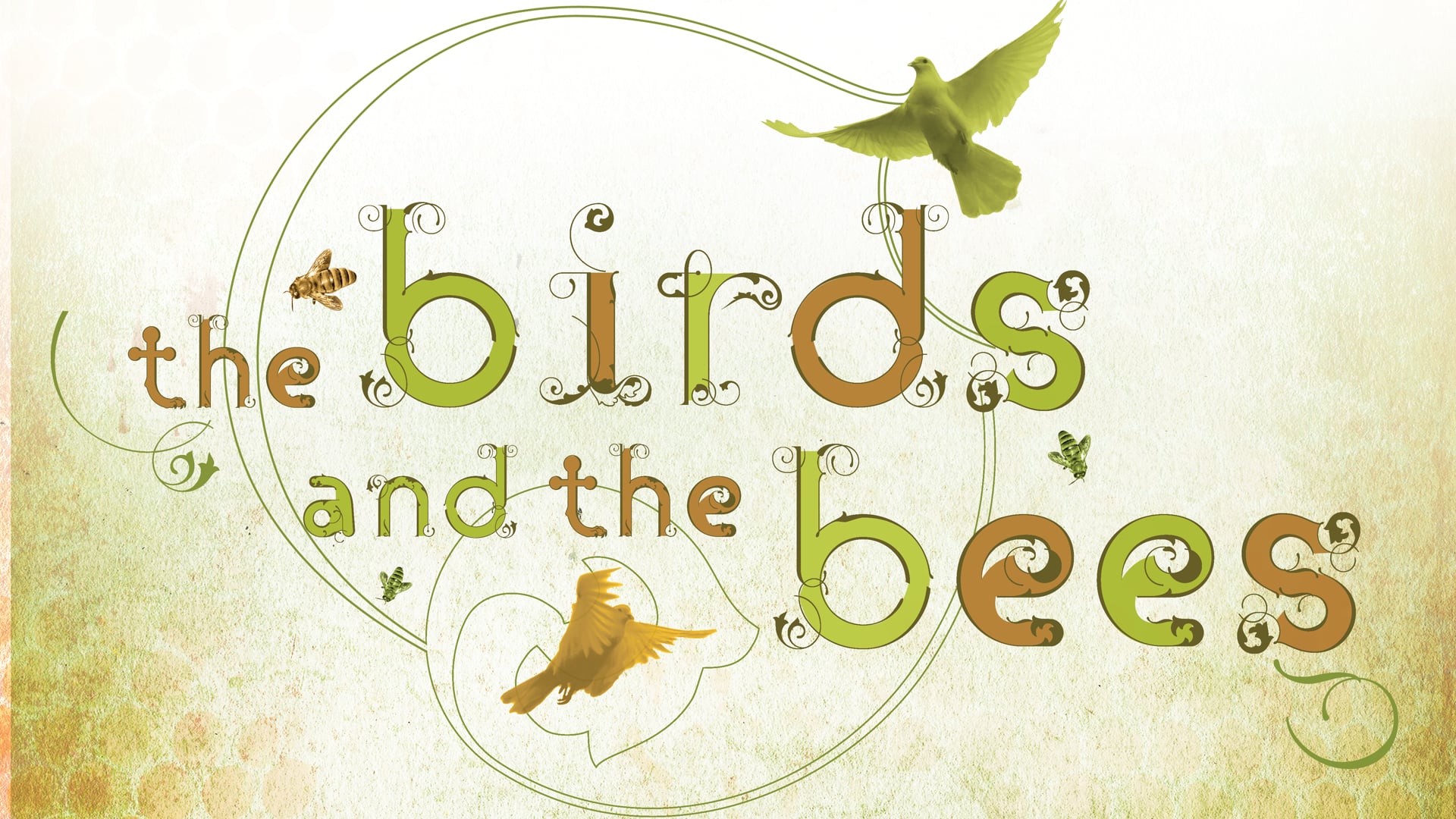 HFBC Message: The Birds and the Bees: Part 1 (1 Thessalonians 4:1-8)