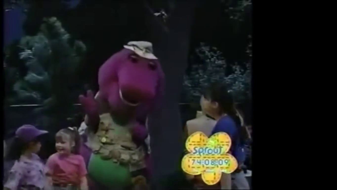 Barney & Friends ~ Ricky Raccoon