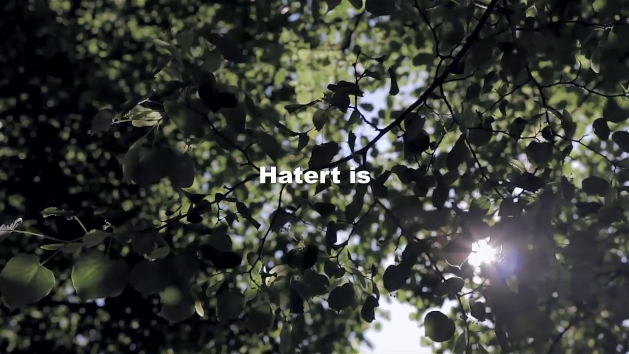 Hatert is...voor iedereen!