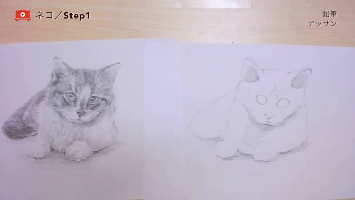 ネコの描き方 鉛筆デッサン 鉛筆 Artlessons アートレッスン