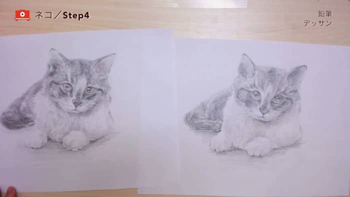 ネコの描き方 鉛筆デッサン 鉛筆 Artlessons アートレッスン
