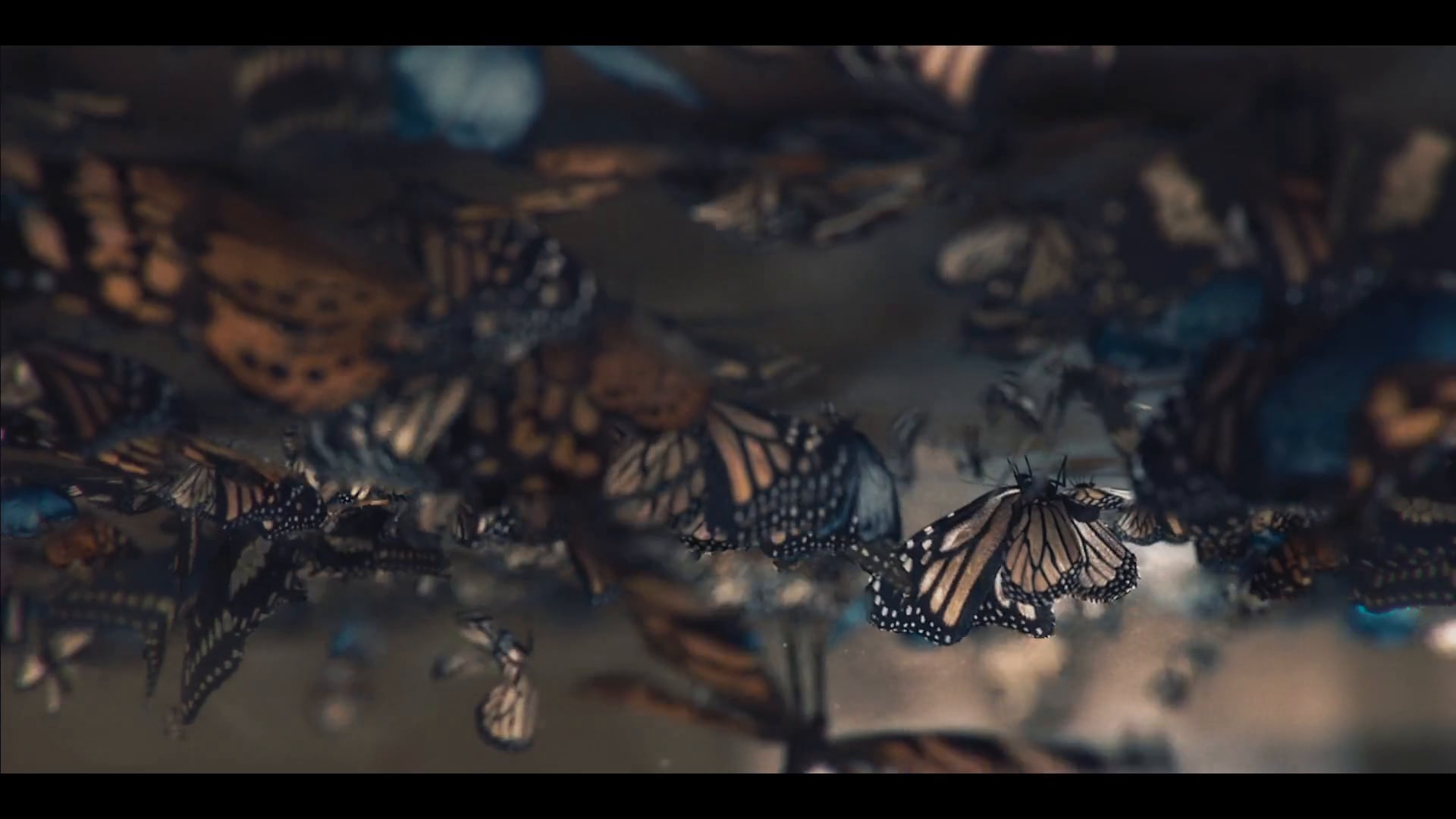 Chicco - The Great Flight on Vimeo