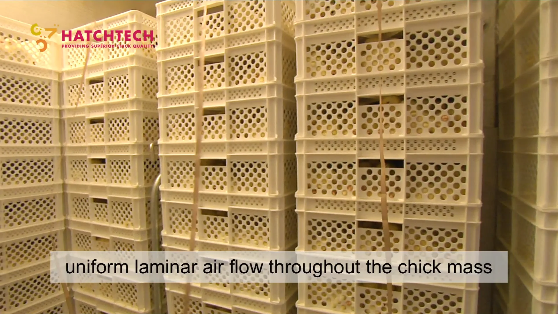 Chick Storage Room on Vimeo