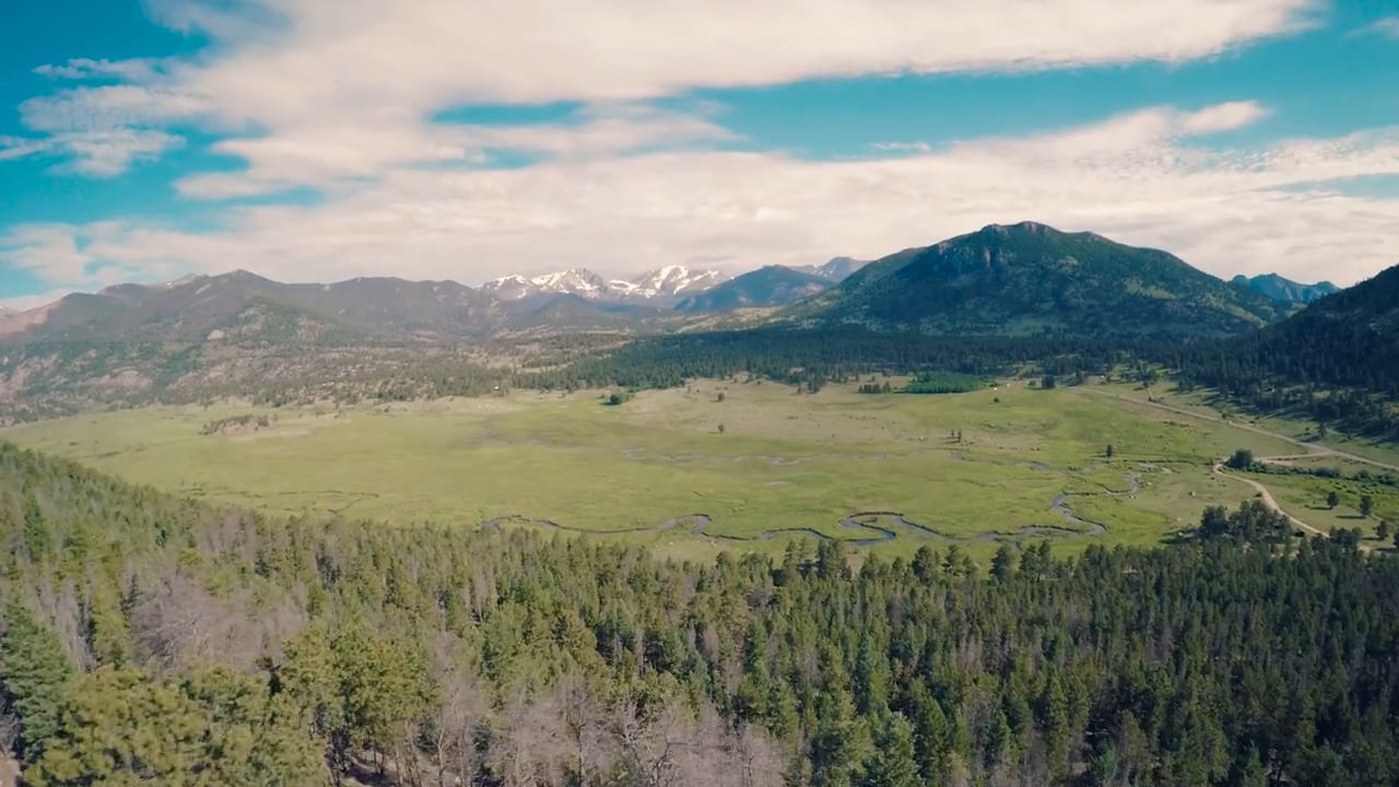 Monday Highlight // FLY 2015