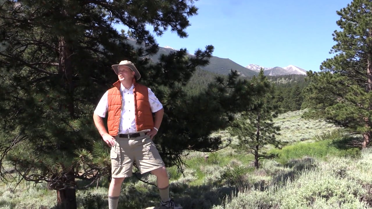 Neature // Wednesday Nightlife