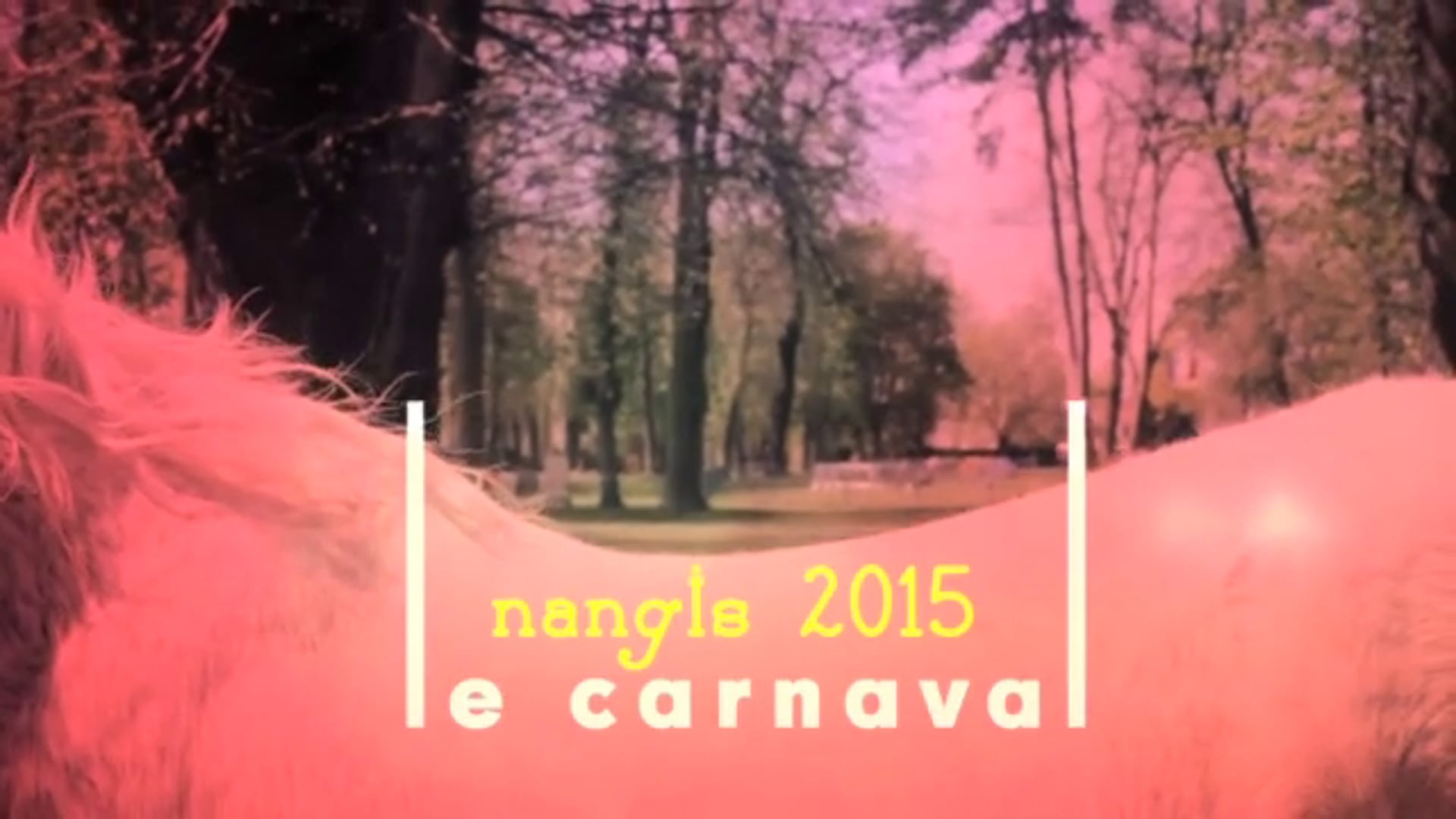 LE CARNAVAL DE NANGIS 2015 -