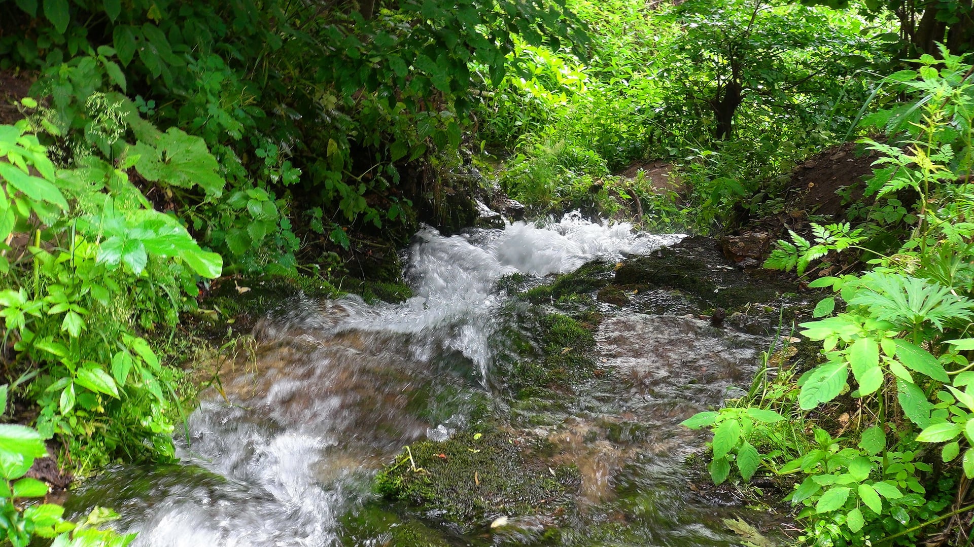 Русанов ручей задонский район фото