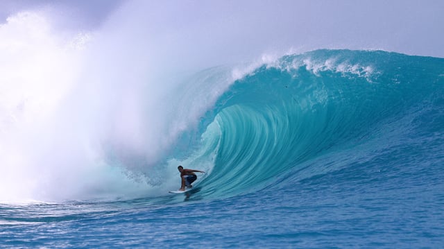 CENTURY SWELL from FTR Films