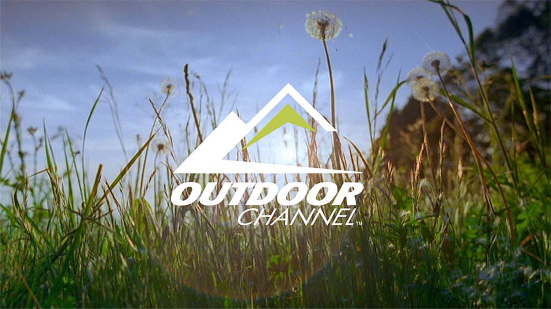 Lorey Zlotnick Outdoor Channel