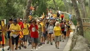 Consulta interna ANC