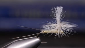 A fly vise holding a undefined after it is tied