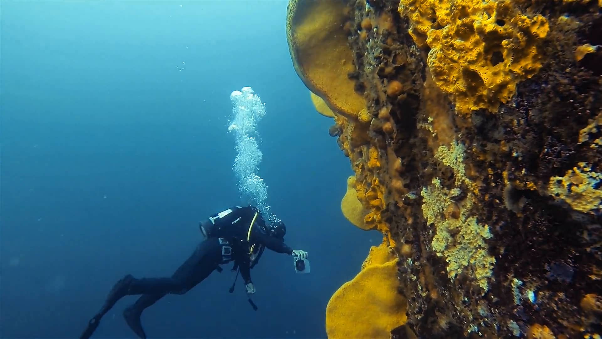 Buceo Penitentes, Pichidangui, Chile - Buceo en Chile - Scuba diving in ...