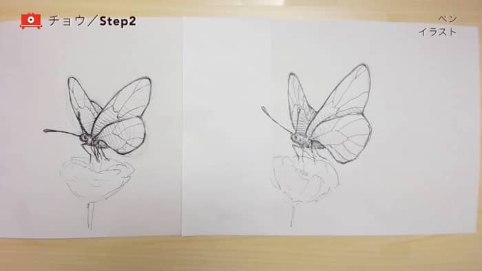 チョウの描き方 ペン インク Artlessons アートレッスン
