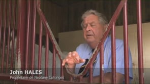 The New Life of Neptune Collonges