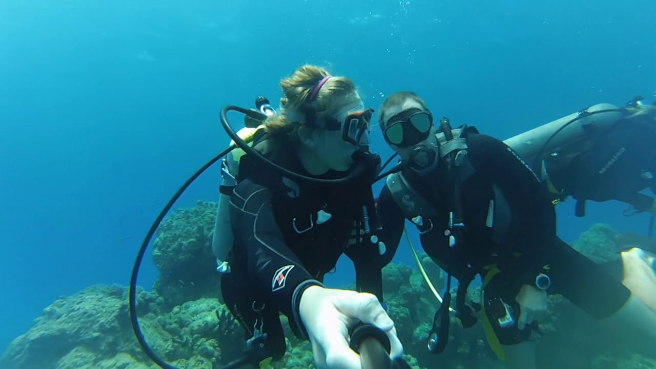 Eleuthera Shark Dive 2 on Vimeo