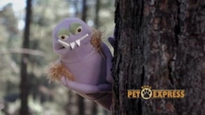 Bend Pet Express - Customer Success Story