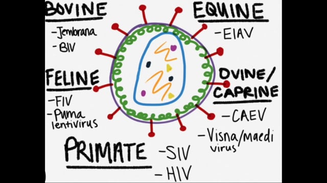 Gene Therapy Using Specialized Vectors