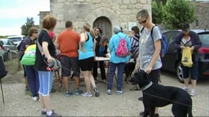L'Anxova Peluda demana col·laboració