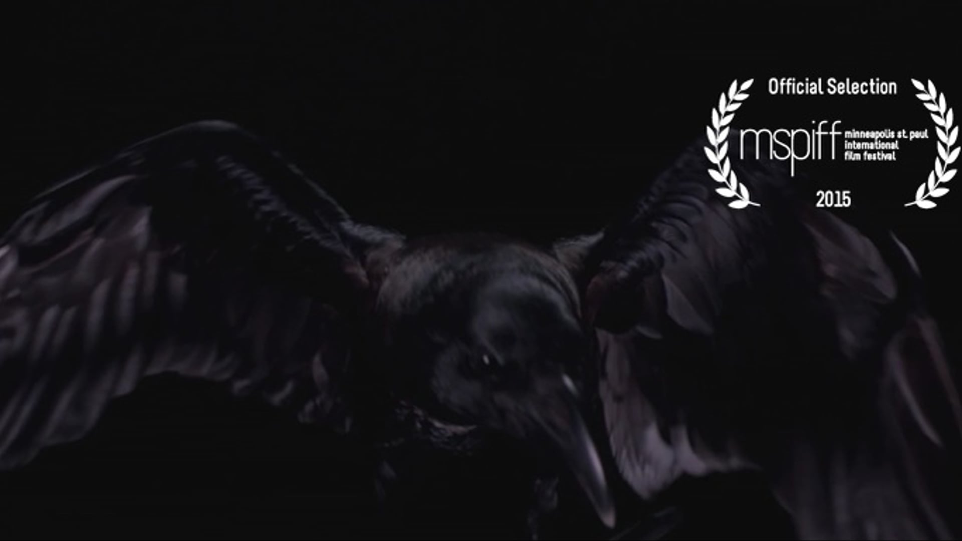 Crows, Reckoning | Poem by Jessica Goodfellow | Film by Commandr