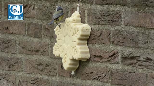 Snowflake Suet Treat