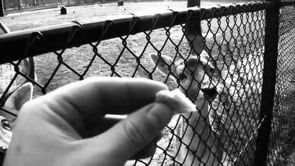 Canon HV 20 / 30 / 40