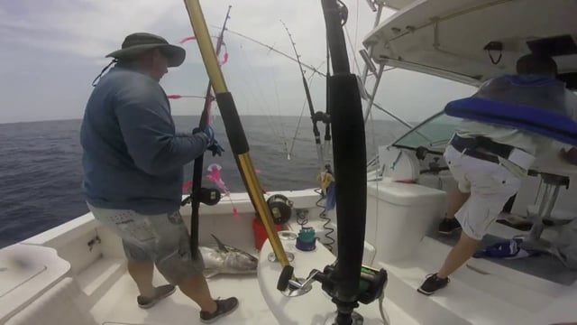 QuickDraw Tuna and Marlin July 3 2015 — Ocean City, Maryland