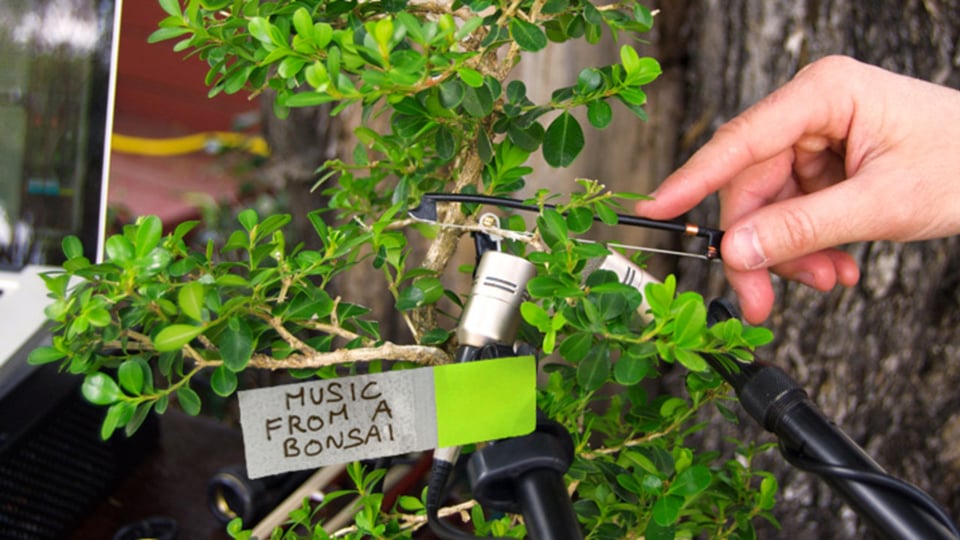 Diego Stocco - Music From A Bonsai