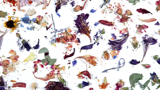 Ecru Organic Dye – Audrey Louise Reynolds