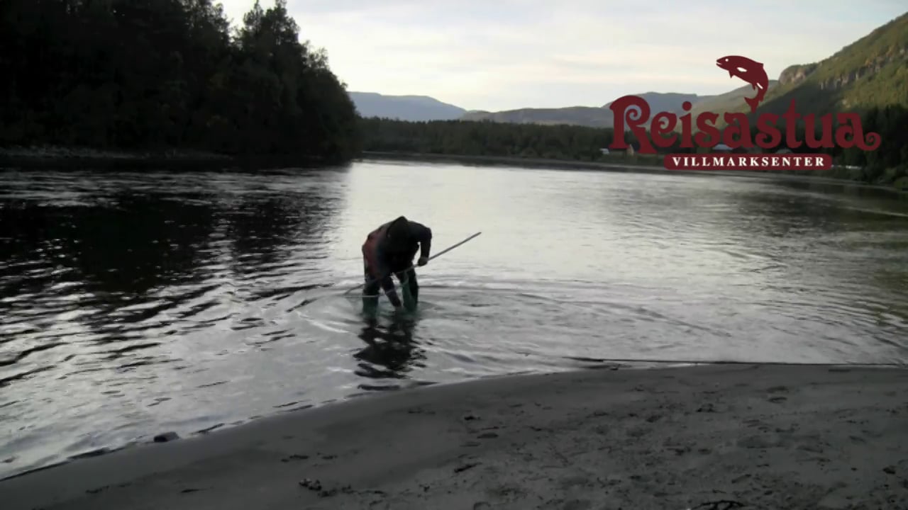 2013 roar olsen 3 kilos 720p