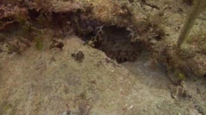 HDV Undersea