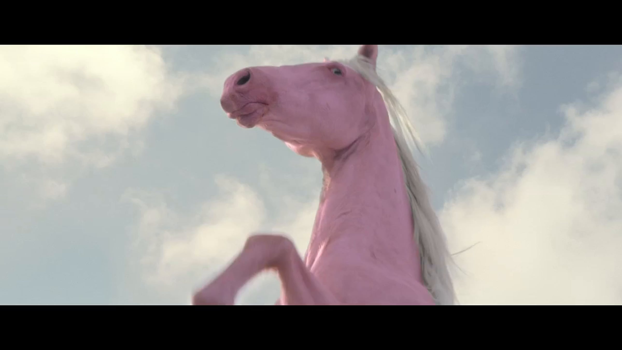 Honda CRV - Wild Horse Chase - Hamish Rothwell - GoodOil films | Videos ...